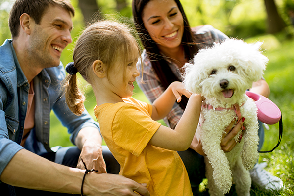 Hunde für Familien