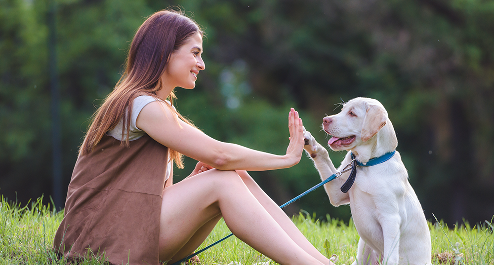 Hundenamen auf Hundeversicherungen24